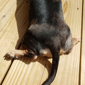 Meet your Posher, Kym